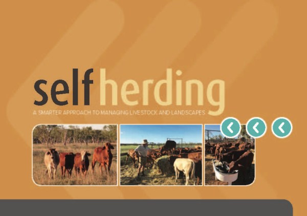 Pages from Section 1_Self Herding_CN_27117